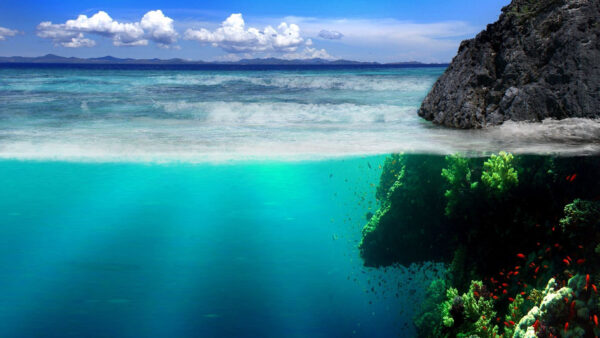 Wallpaper And, Ocean, View, Clear, Underwater, Waves, Shoaling, Blue, Under, Cloudy, Sky, Fish, Nature