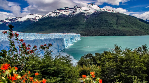 Wallpaper Landscape, Glaciares, Green, Los, Park, Covered, Nature, White, Lake, Glacier, Desktop, National, Mountains, Argentino, Bush