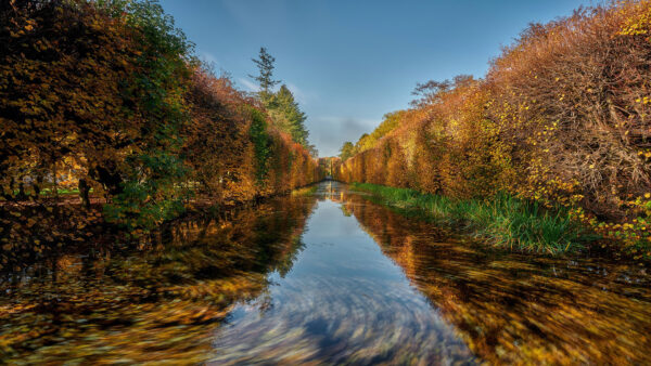 Wallpaper River, Earth, Nature, Desktop, Reflection, Fall, Hedge