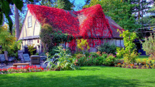 Wallpaper Blossom, Leaves, Flowers, Desktop, And, Red, Spring, Background, Roof, Surrounded, Covered, House