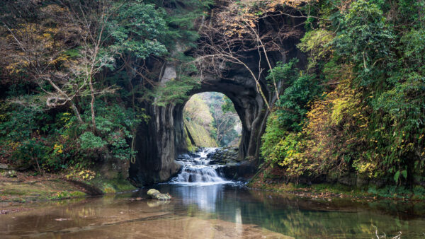 Wallpaper Beautiful, Scenery, Cave, River, Yellow, Mobile, Nature, Desktop, Green, Reflection, Trees, Stream, Water