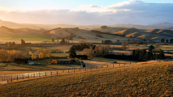 Wallpaper Green, Trees, Scenery, Sunlight, Mobile, With, Field, Grass, Beautiful, Desktop, Nature, Hills, Yellow, Autumn