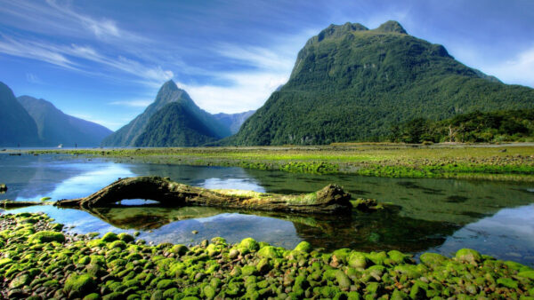 Wallpaper Sky, Nature, Lake, Green, Background, View, Mountains, Reflection, Landscape, Blue, Trees, Covered