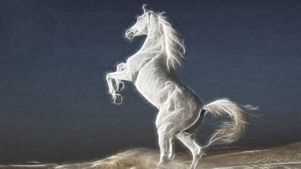 Wallpaper Artistic, Desktop, White, Horse