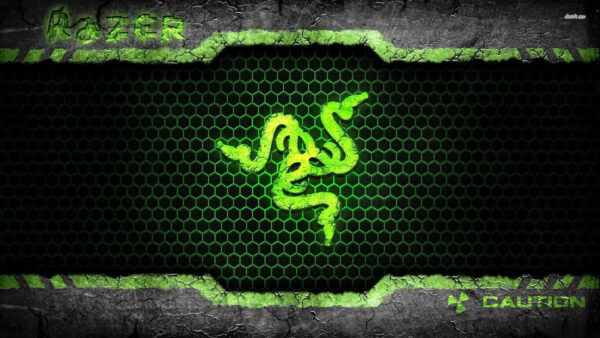 Wallpaper Hexagon, Desktop, Logo, Background, Razer, Green