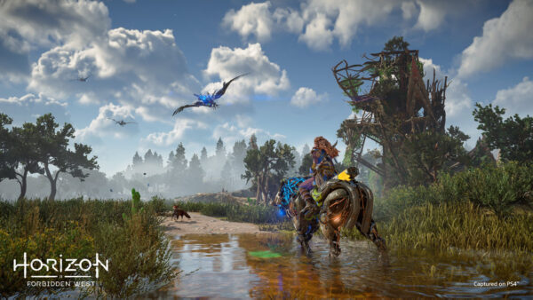 Wallpaper Aloy, Horizon, West, Forbidden