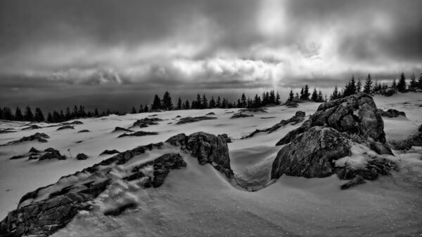 Wallpaper Black, Covered, Winter, White, Rocks, Snow, And, Clouds, Sky, Desktop, Trees, Mobile, Image, Under