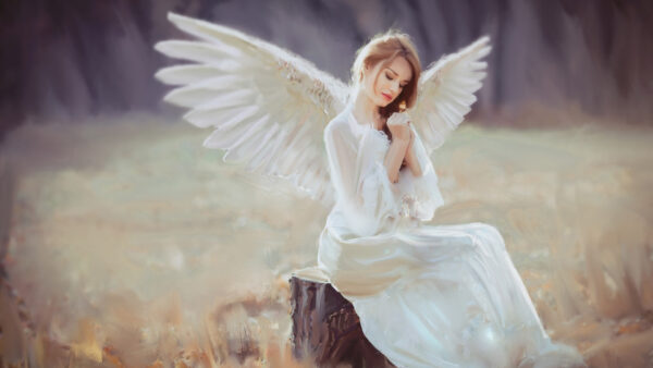 Wallpaper Sitting, Dress, Tree, With, Angel, Trunk, White, Girl, Wings, Wearing