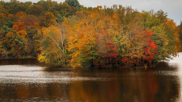 Wallpaper Lake, Colorful, Trees, Fall, Desktop, Mobile, Autumn