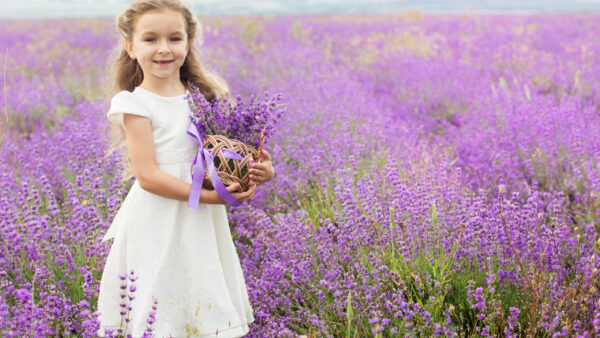 Wallpaper Field, Dress, Cute, White, Girl, Wearing, With, Smiling, Flowers, Background, Standing, Lavender, Little