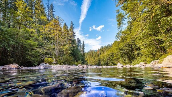 Wallpaper Green, River, Clouds, Forest, Blue, Nature, Under, Sky, White, Stones, Background, Trees