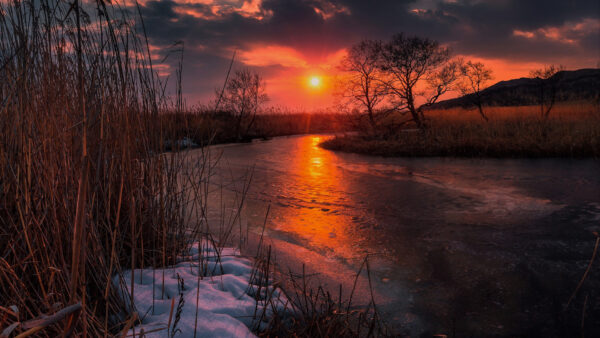 Wallpaper River, Bushes, During, Trees, Background, Between, Silhouette, Sunset