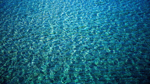 Wallpaper Image, Transparent, Water, Ripple