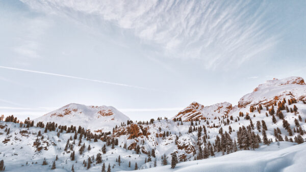 Wallpaper Blue, Mountains, Spruce, During, Winter, Sky, Under, Trees, Daytime, Slope, Snow, Covered