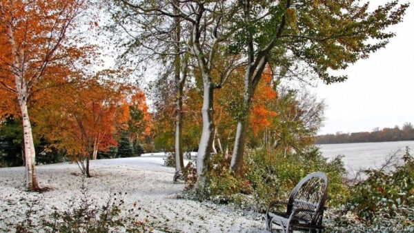 Wallpaper Snow, River, Winter, Red, Yellow, Forest, Autumn, Trees, Green, Path
