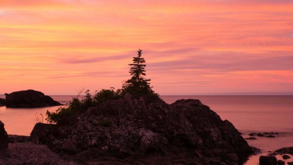 Wallpaper Desktop, Beautiful, Mobile, Nature, Trees, Sunset, Silhouette, Background, Rocks