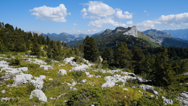 Wallpaper Nature, Grass, Under, Forest, Blue, Mountains, Rocks, Slope, White, Desktop, Clouds, Bushes, Trees, Stones, Mobile, Sky