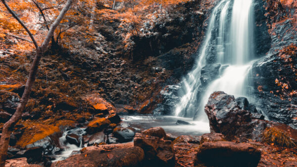 Wallpaper Leaves, Stones, Stream, Tree, Mobile, Yellow, Branches, Desktop, Rocks, Waterfall, Nature