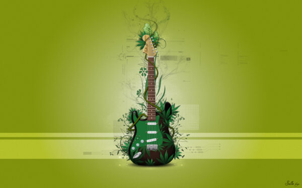 Wallpaper Music, Guitar