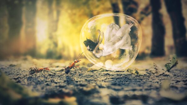Wallpaper Ant, Bubble, Dream