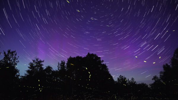 Wallpaper Purple, Sky, Trail, Star
