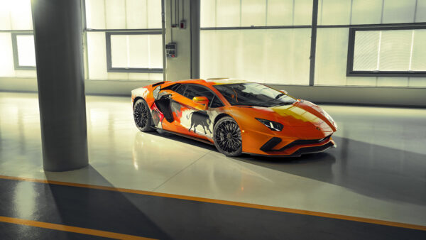 Wallpaper Skyler, Aventador, Lamborghini, 2019, Grey