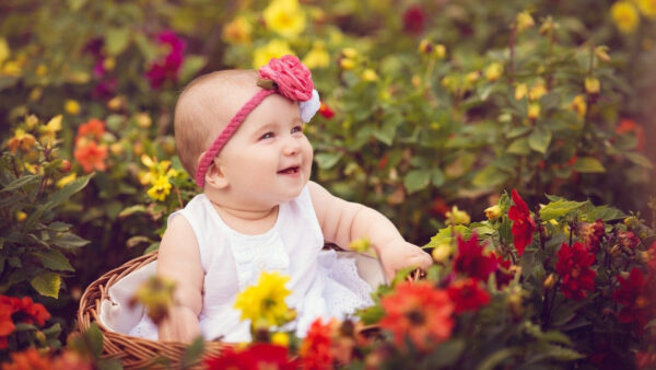 Wallpaper And, Head, Flower, Smiley, Surrounded, Desktop, Dress, Baby, Wearing, Band, Basket, White, Flowers, Girl, Cute, Colorful, Bamboo, Sitting, Inside