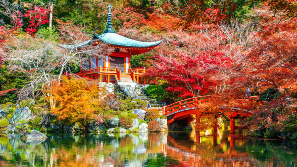 Wallpaper Daigo-ji, Park, Desktop, Lake, Mobile, Nature, Kyoto, Japan, With, Bridge, Travel