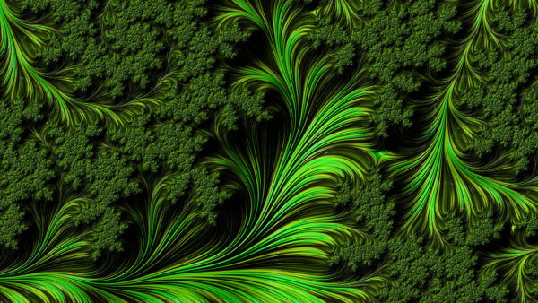 Wallpaper Lines, Pattern, Abstract, Abstraction, Fractal, Shapes, Green, Desktop, Mobile
