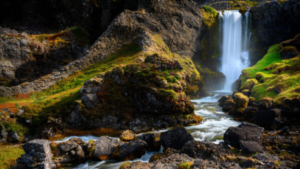 Wallpaper Waterfall, Between, Rock, Covered, Daytime, Desktop, Algae, During, Nature