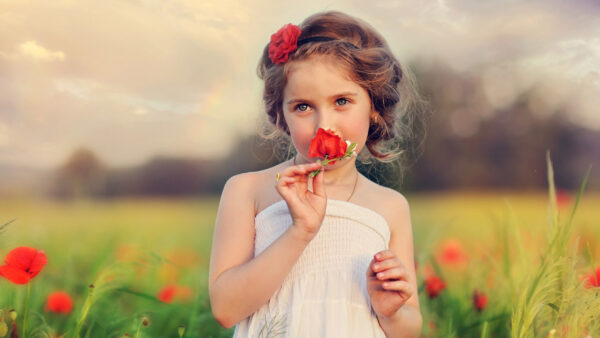 Wallpaper Little, Cute, Flowers, Desktop, White, Wearing, Field, Near, Mouth, Background, Girl, Dress, Flower, Poppy, Red, Having