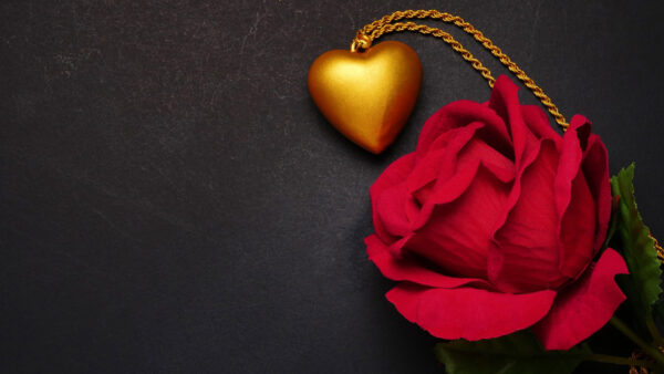 Wallpaper Golden, Chain, Heart, Red, Rose, Petals