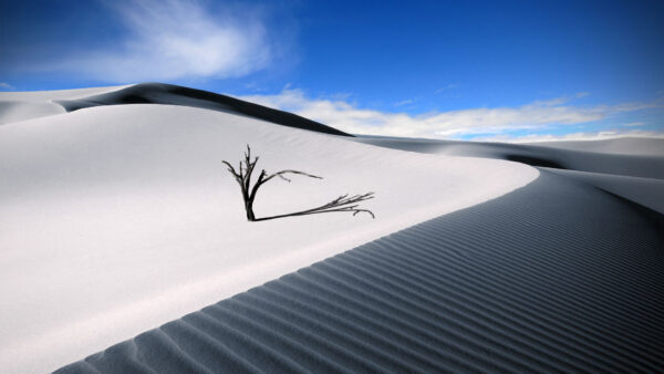 Wallpaper Black, Sand, White, Desert, Dunes