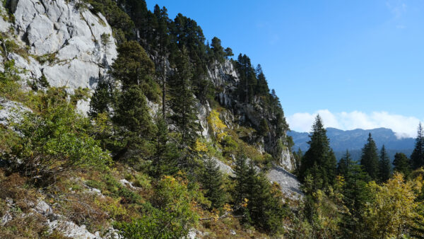 Wallpaper Mountains, Desktop, Trees, Plants, Green, Sky, White, Mobile, Bushes, Nature, Blue, Under, Rock