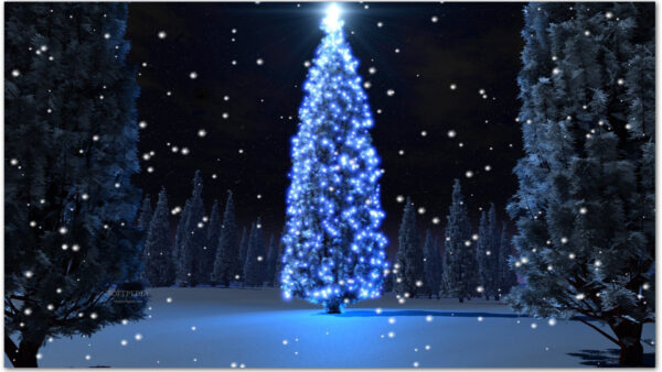 Wallpaper Countdown, With, Christmas, Lights, Blue, Tree