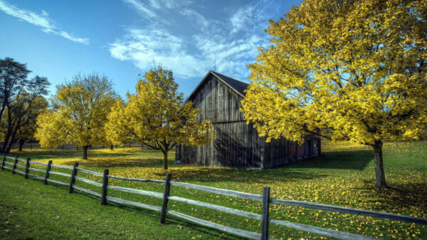 Wallpaper Wood, Fence, Surrounded, Country, House, Trees, Grass, With, Beautiful