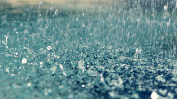 Wallpaper Closeup, Rainfall, View, Rain