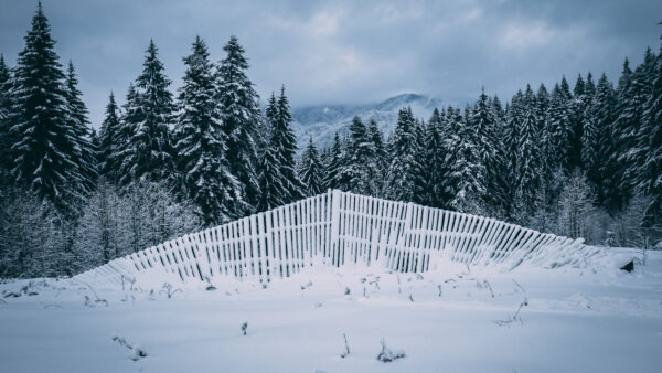 Wallpaper Snow, Mobile, Fog, Trees, Photography, Desktop, Mountains, Fir, Fence