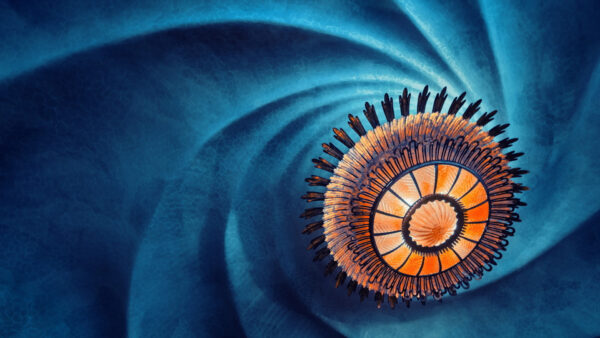 Wallpaper Circle, Swirl, Light, Abstraction, Blue, Orange, Black, Abstract