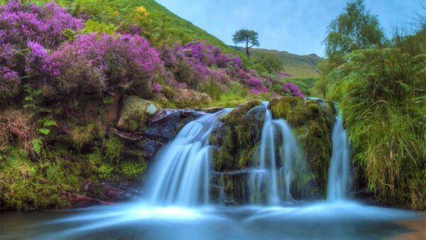 Wallpaper Rocks, Stream, Blue, Bushes, Between, Algae, Waterfall, Sky, Covered, Background, Flowers, Purple, Nature, From