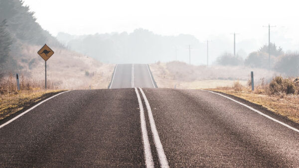 Wallpaper Fog, Dry, Field, Grass, With, Nature, Between, Road, Forest