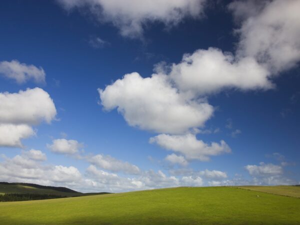 Wallpaper Pastures, Skies, Green, Blue