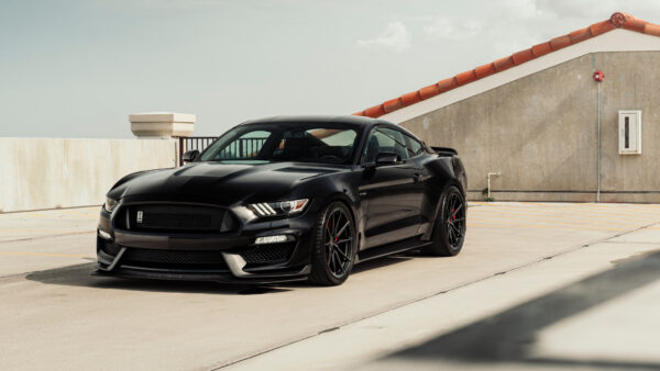 Wallpaper Ford, Black, Mustang