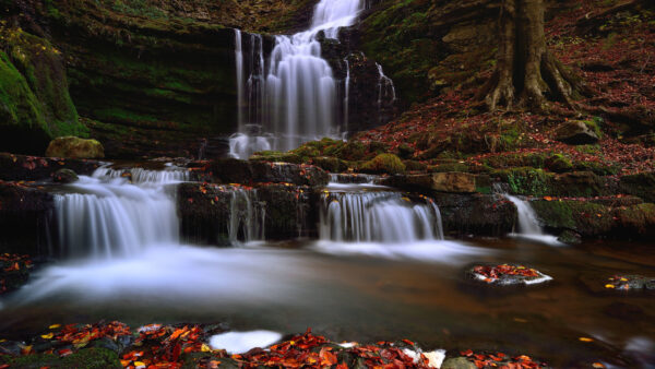 Wallpaper Desktop, Waterfalls, During, Fall, Nature