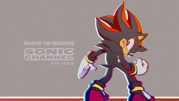 Wallpaper Desktop, Hedgehog, The, Games, Shadow