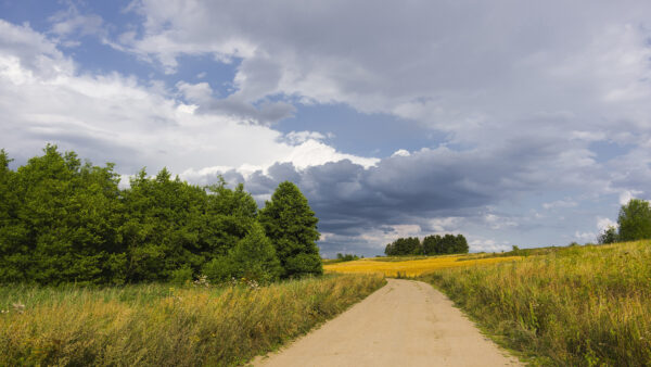 Wallpaper Between, Nature, And, Clouds, Grass, Mobile, Road, Gray, Sky, Under, Field, Desktop, Path, Blue