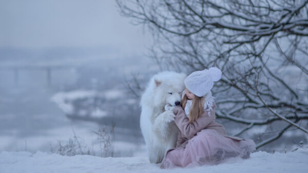 Wallpaper Around, Samoyed, Desktop, With, Winter, Cute, Playing, Little, Snow, Girl, During, Dog