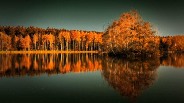 Wallpaper Cloudy, River, Orange, Blue, Nature, Sky, Black, Trees, Leafed, Surrounded, Under, Autumn