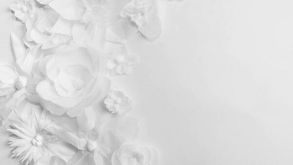 Wallpaper Paper, Background, White, Flowers