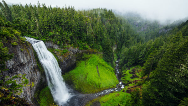 Wallpaper Desktop, Nature, Mobile, Foggy, Pouring, River, Greenery, Waterfalls, Mountain